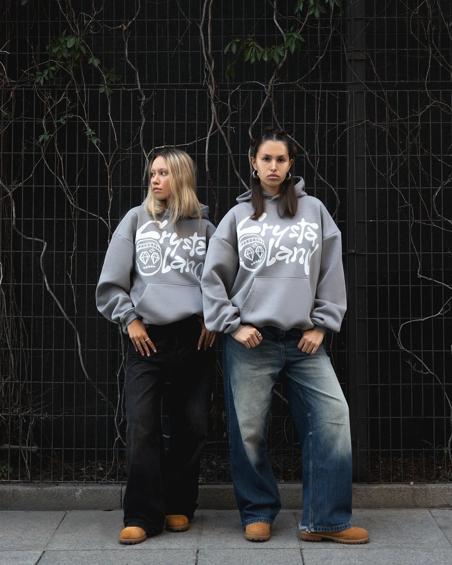 CRYSTALAND Street Style Hoodie (Unisex)